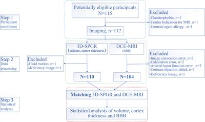 Blood–brain barrier and brain structural changes in lung cancer patients with non-brain metastases